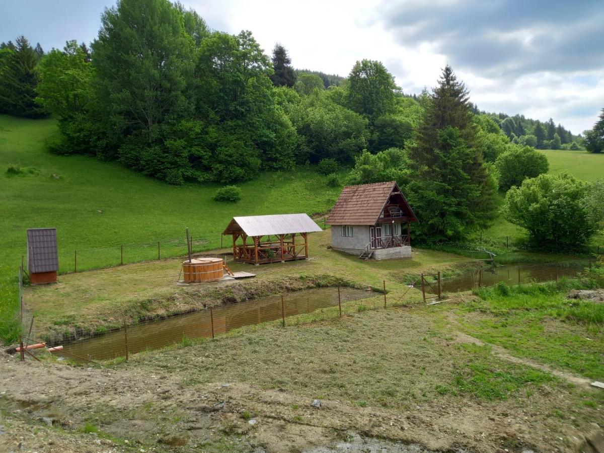Cabane Areama Neagra Marosfő Kültér fotó