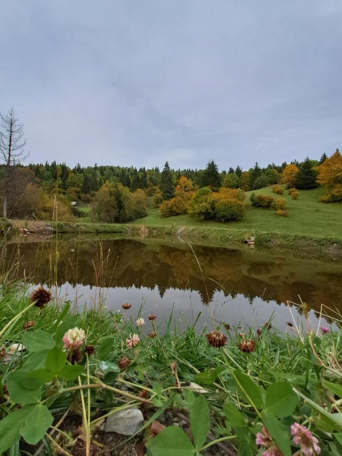 Cabane Areama Neagra Marosfő Kültér fotó