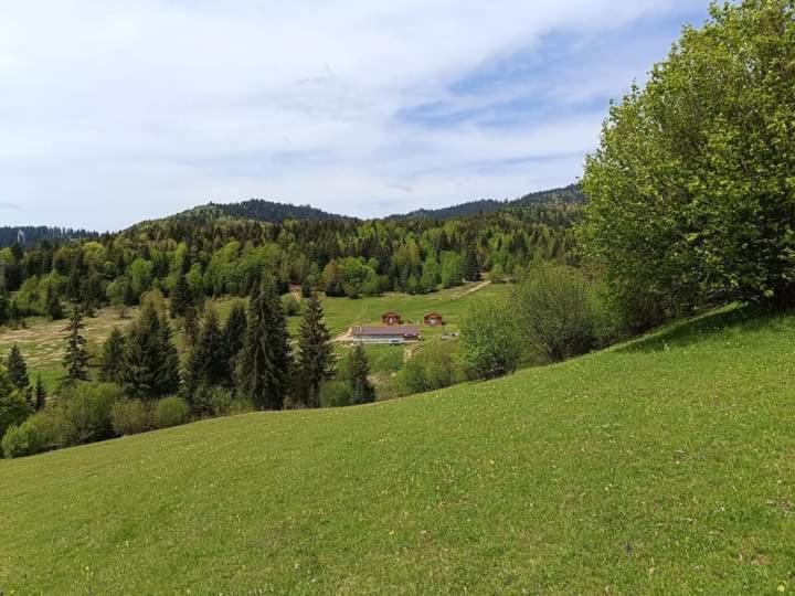 Cabane Areama Neagra Marosfő Kültér fotó