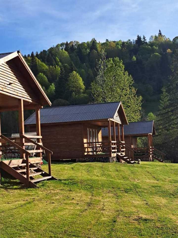 Cabane Areama Neagra Marosfő Kültér fotó
